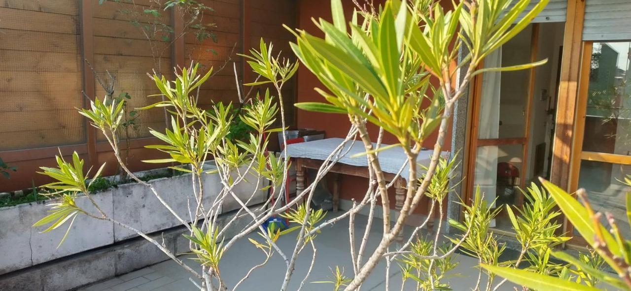 Meraviglioso Super Attico Con Terrazza ミラノ エクステリア 写真